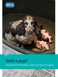 RSPCA Sold a pup?