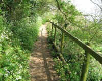 Pathway